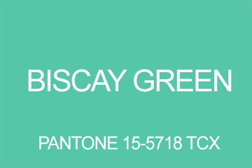 Kolor Biscay Green