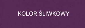 Śliwkowy - jaki to kolor? Komu pasuje i z czym nosić kolor śliwkowy?
