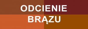 Odcienie brązu