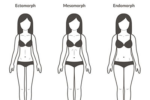 Kobiety - endomorfik, ektomorfik i mezomorfik