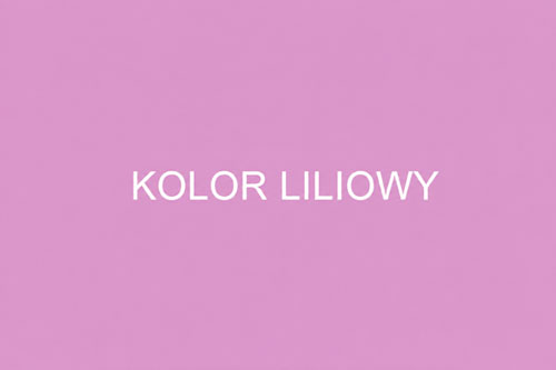 Kolor liliowy w modzie