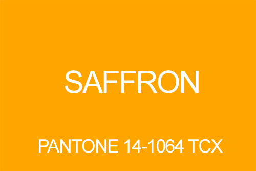 Kolor Saffron