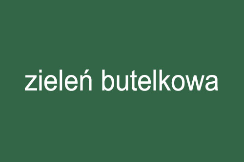 Zieleń butelkowa